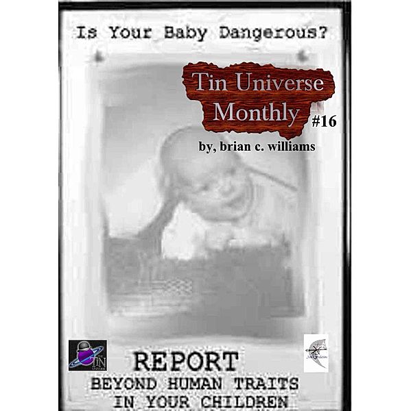 Tin Universe Monthly #16 / Tin Universe, Brian C. Williams