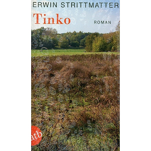 Tinko, Erwin Strittmatter