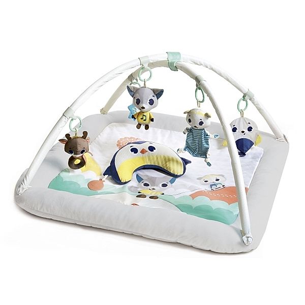 dorel Tiny Love Polar Wonders Gymini Plush Spieldecke