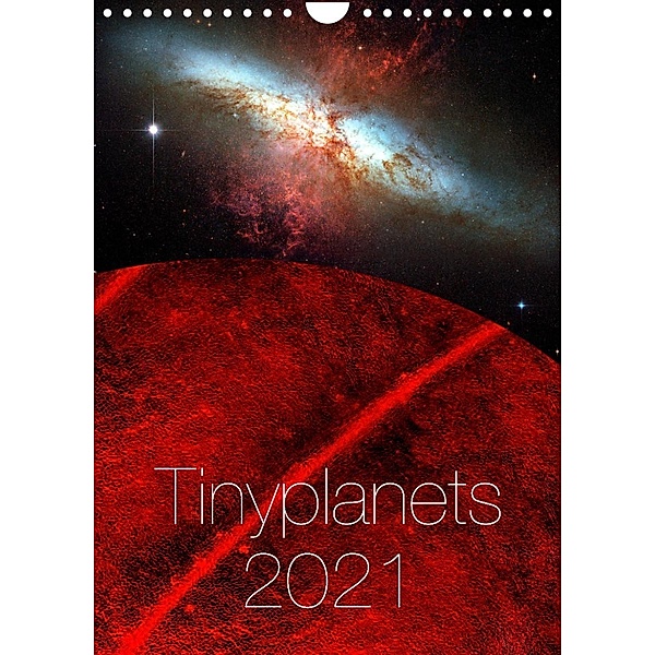 Tinyplanet 2023 (Wall Calendar 2023 DIN A4 Portrait), Hardy Richter