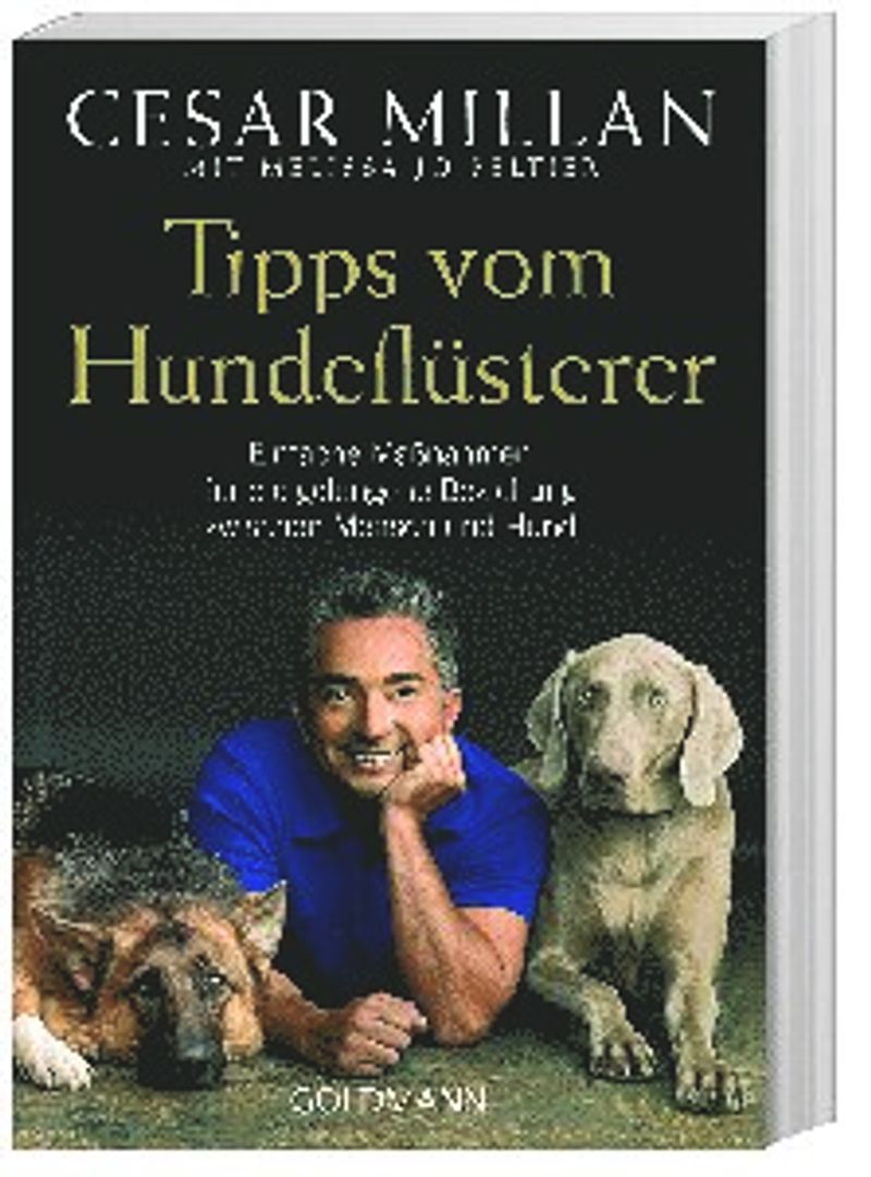 Tipps vom Hundeflüsterer Buch bei Weltbild.ch online bestellen