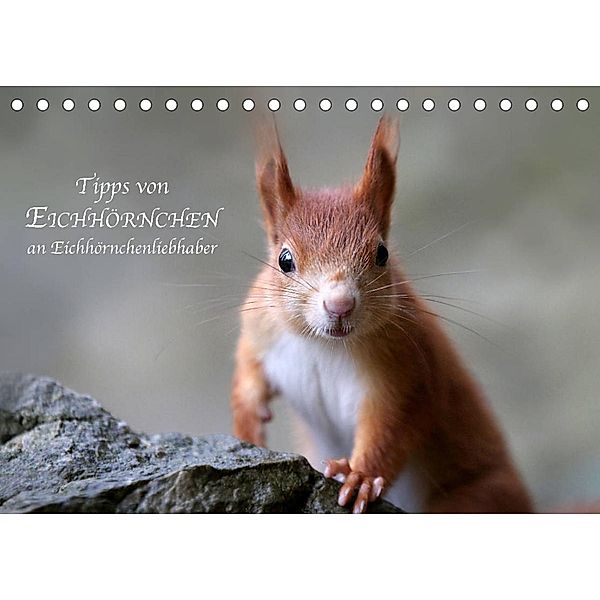 Tipps von Eichhörnchen an Eichhörnchenliebhaber (Tischkalender 2023 DIN A5 quer), Birgit Cerny