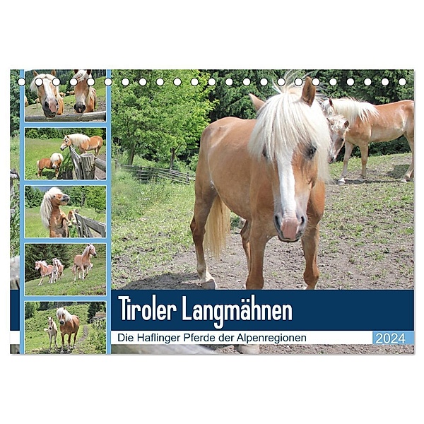 Tiroler Langmähnen (Tischkalender 2024 DIN A5 quer), CALVENDO Monatskalender, Katrin Lantzsch