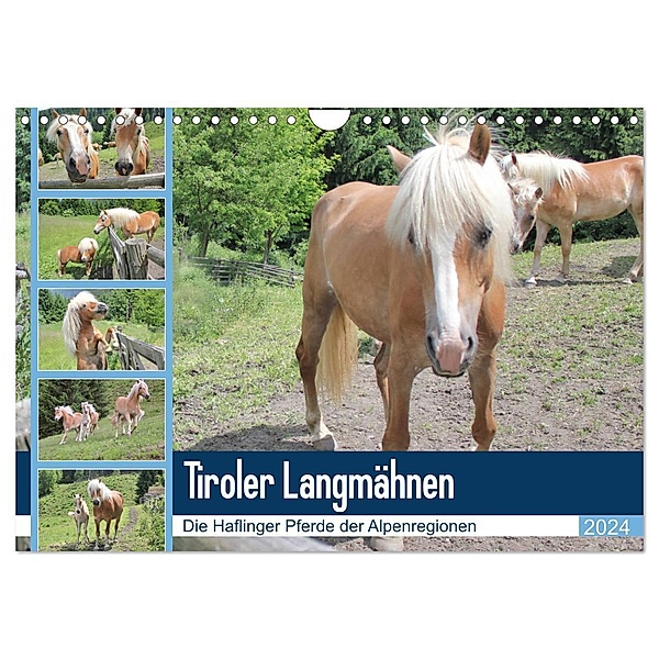 Tiroler Langmähnen (Wandkalender 2024 DIN A4 quer), CALVENDO Monatskalender, Katrin Lantzsch