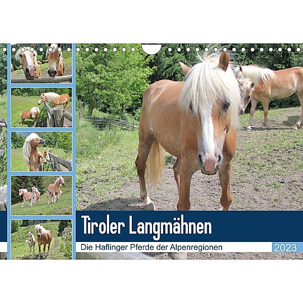 Tiroler LangmähnenAT-Version  (Wandkalender 2023 DIN A4 quer), Katrin Lantzsch