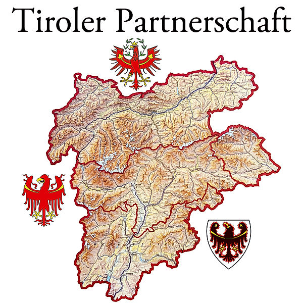 Tiroler Partnerschaft/Lied Der Tiroler Partnerscha, Diverse Interpreten