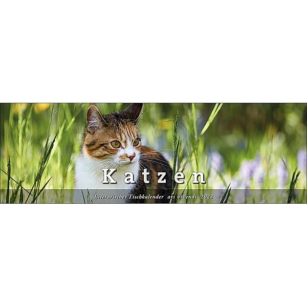 Tischkalender Katzen 2023, ars vivendi Verlag