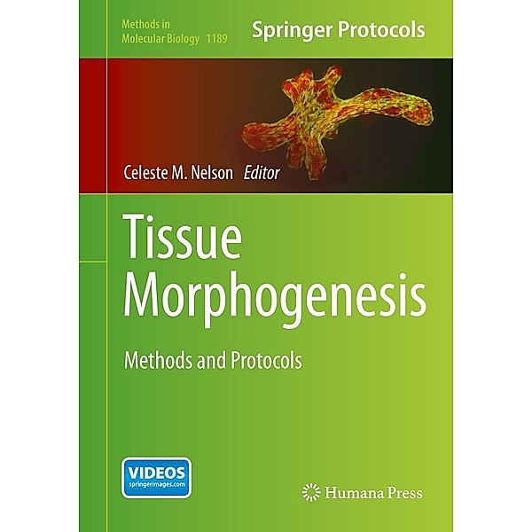 Tissue Morphogenesis / Methods in Molecular Biology Bd.1189