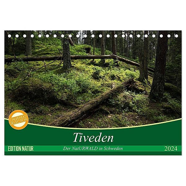 Tiveden, der NatURWALD in Schweden (Tischkalender 2024 DIN A5 quer), CALVENDO Monatskalender, Bernhard Loewa