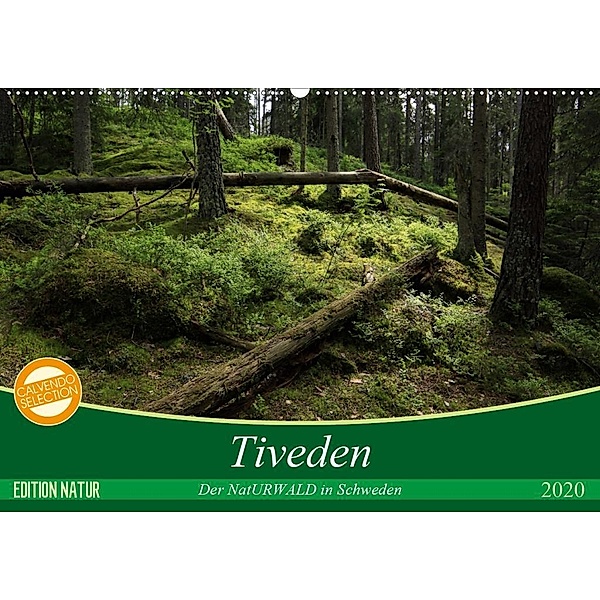 Tiveden, der NatURWALD in Schweden (Wandkalender 2020 DIN A2 quer), Bernhard Loewa