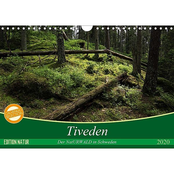 Tiveden, der NatURWALD in Schweden (Wandkalender 2020 DIN A4 quer), Bernhard Loewa