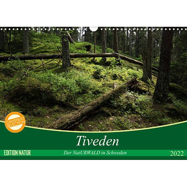Tiveden, der NatURWALD in Schweden (Wandkalender 2022 DIN A3 quer), Bernhard Loewa