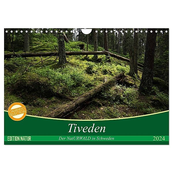 Tiveden, der NatURWALD in Schweden (Wandkalender 2024 DIN A4 quer), CALVENDO Monatskalender, Bernhard Loewa