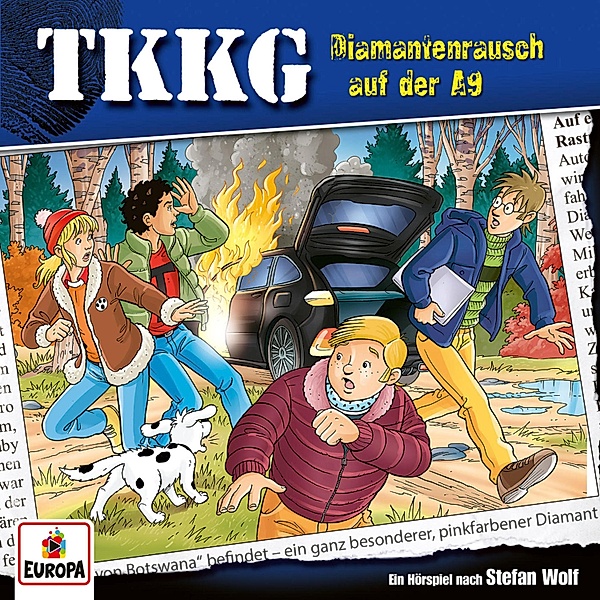 TKKG - 214 - TKKG - Folge 214: Diamantenrausch auf der A9, Stefan Wolf, Martin Hofstetter