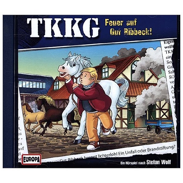 TKKG - Feuer auf Gut Ribbeck!, Stefan Wolf