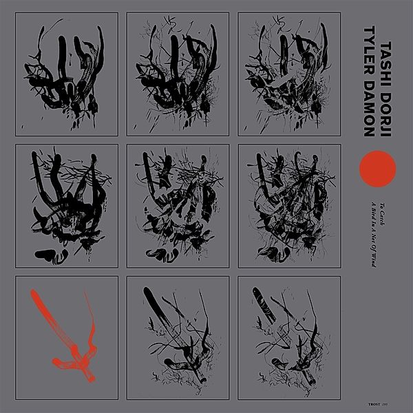 To Catch A Bird In The Net Of Wind (Vinyl), Tashi Dorji & Damon Tyler