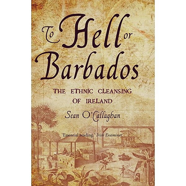 To Hell or Barbados, Sean O'Callaghan