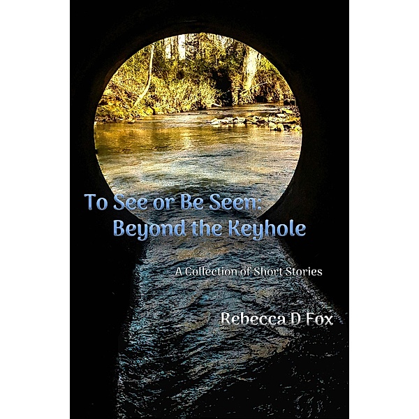 To See or Be Seen: Beyond The Keyhole, Rebecca D Fox