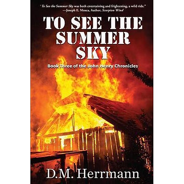 To See the Summer Sky, D. M. Herrmann
