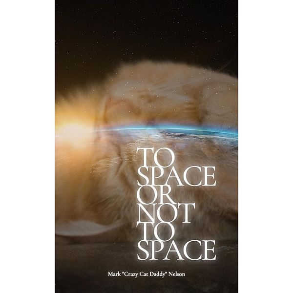 To Space Or Not To Space (Kitty Adventures) / Kitty Adventures, The Crazy Cat Daddy