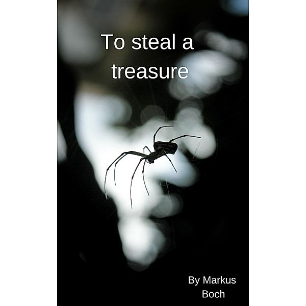 To Steal a Treasure, Markus Boch