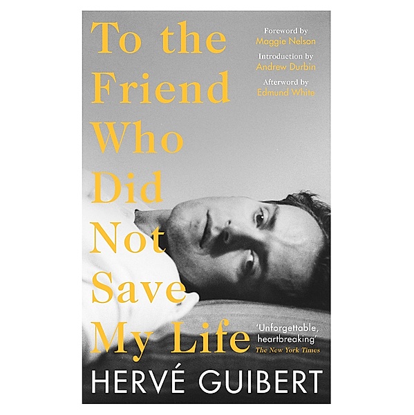 To the Friend Who Did Not Save My Life, Hervé Guibert