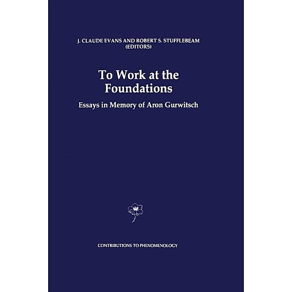 To Work at the Foundations / Contributions to Phenomenology Bd.25