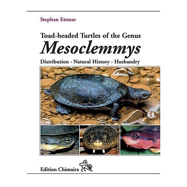 Toad-headed Turtles of the Genus Mesoclemmys, Stephan Ettmar