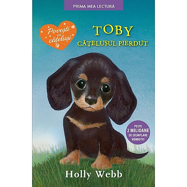 Toby, Ca¿elu¿ul Pierdut / Prima mea lectura, Holly Webb