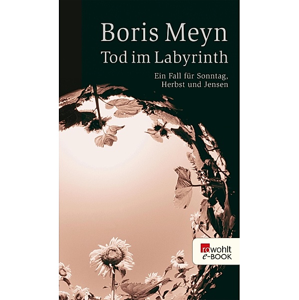 Tod im Labyrinth / Ein Fall für Sonntag, Herbst und Jensen Bd.2, Boris Meyn