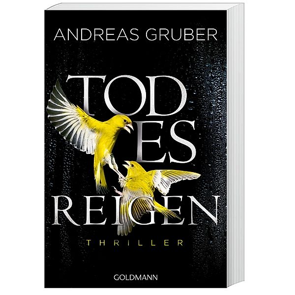 Todesreigen / Sabine Nemez und Maarten Sneijder Bd.4, Andreas Gruber
