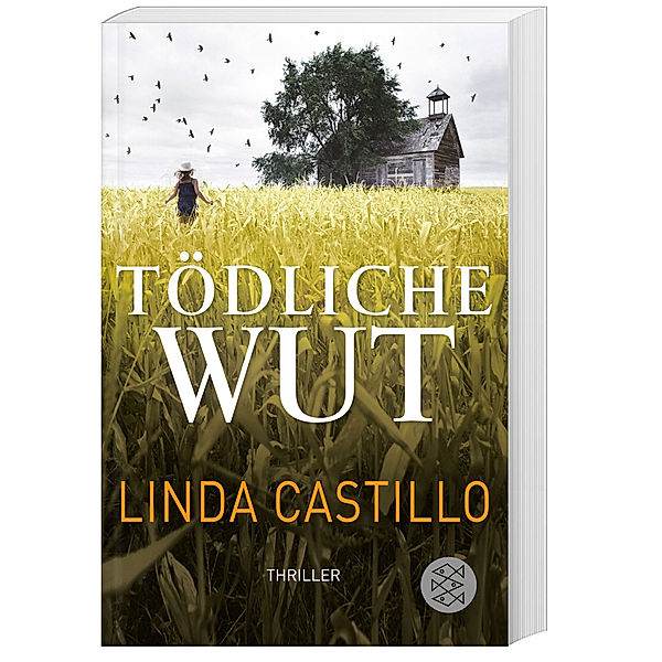 Tödliche Wut / Kate Burkholder Bd.4, Linda Castillo