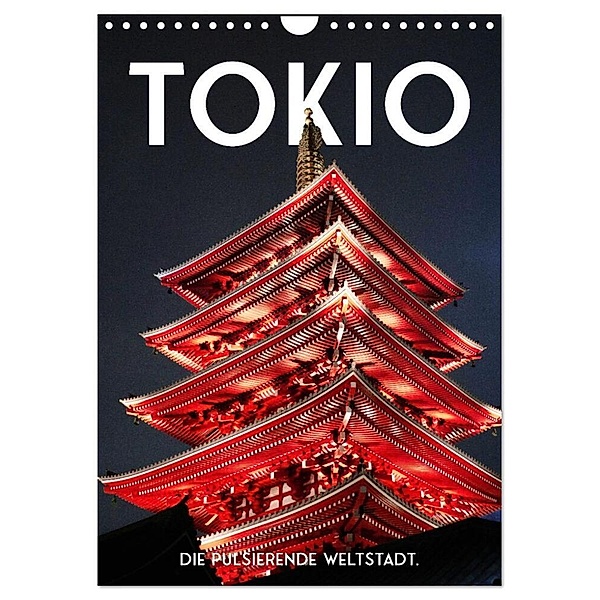 Tokio - Die pulsierende Weltstadt. (Wandkalender 2024 DIN A4 hoch), CALVENDO Monatskalender, SF