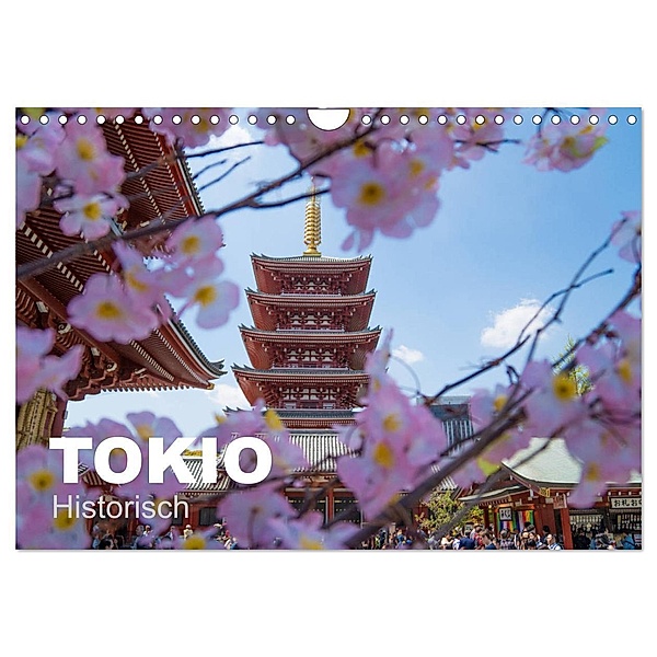 Tokio Kalender mit historischen Tempeln und Schreinen (Wandkalender 2024 DIN A4 quer), CALVENDO Monatskalender, Michael Schindler