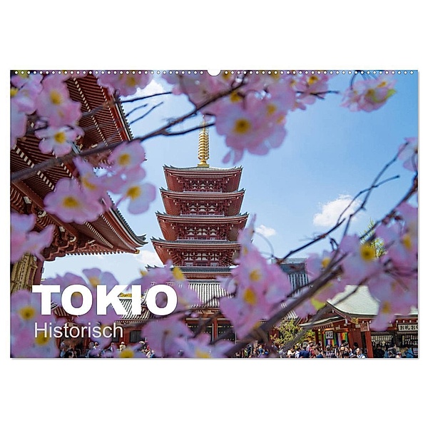 Tokio Kalender mit historischen Tempeln und Schreinen (Wandkalender 2024 DIN A2 quer), CALVENDO Monatskalender, Michael Schindler