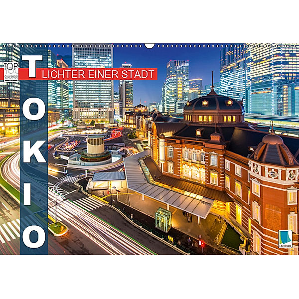 Tokio: Lichter einer Stadt (Wandkalender 2019 DIN A2 quer), Calvendo