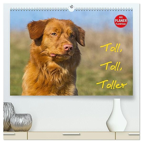 Toll, toll, Toller (hochwertiger Premium Wandkalender 2024 DIN A2 quer), Kunstdruck in Hochglanz, Sigrid Starick