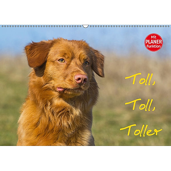 Toll, toll, Toller (Wandkalender 2019 DIN A2 quer), Sigrid Starick