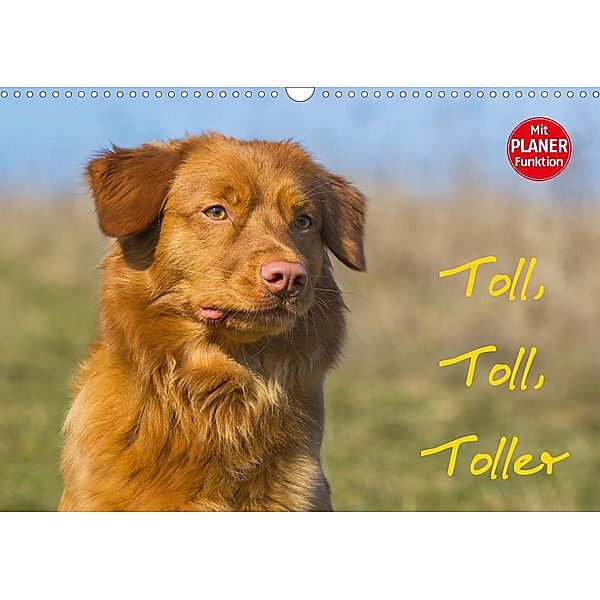 Toll, toll, Toller (Wandkalender 2021 DIN A3 quer), Sigrid Starick