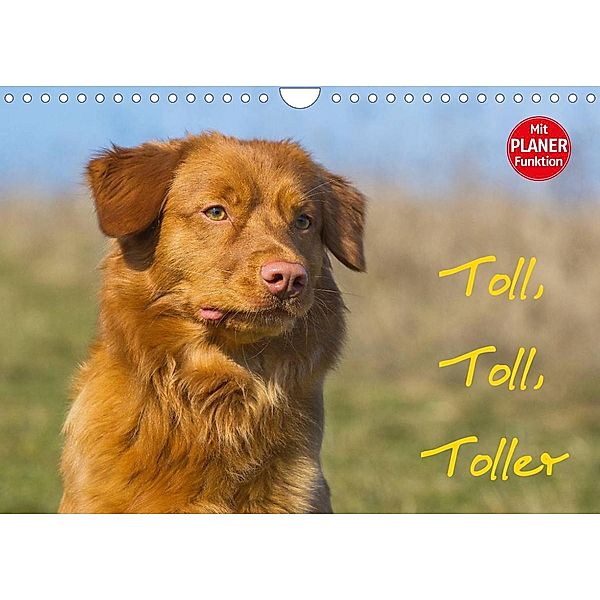 Toll, toll, Toller (Wandkalender 2023 DIN A4 quer), Sigrid Starick