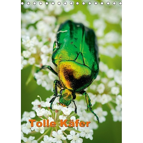 Tolle Käfer (Tischkalender 2014 DIN A5 hoch)