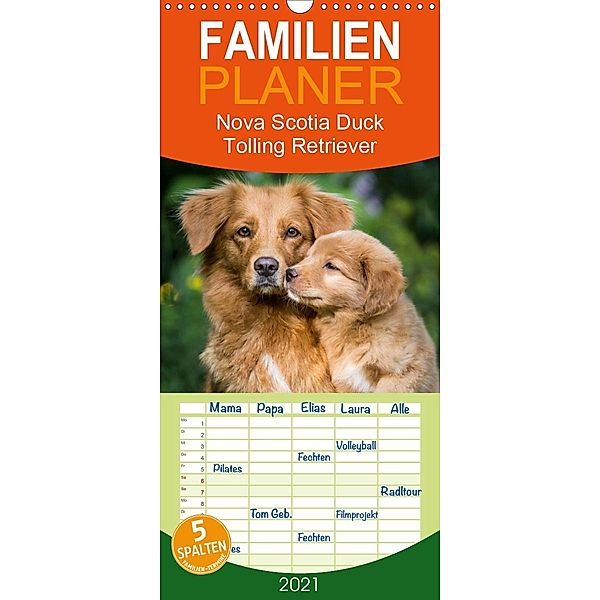 Toller - Nova Scotia Duck Tolling Retriever - Familienplaner hoch (Wandkalender 2021 , 21 cm x 45 cm, hoch), Anna Auerbach