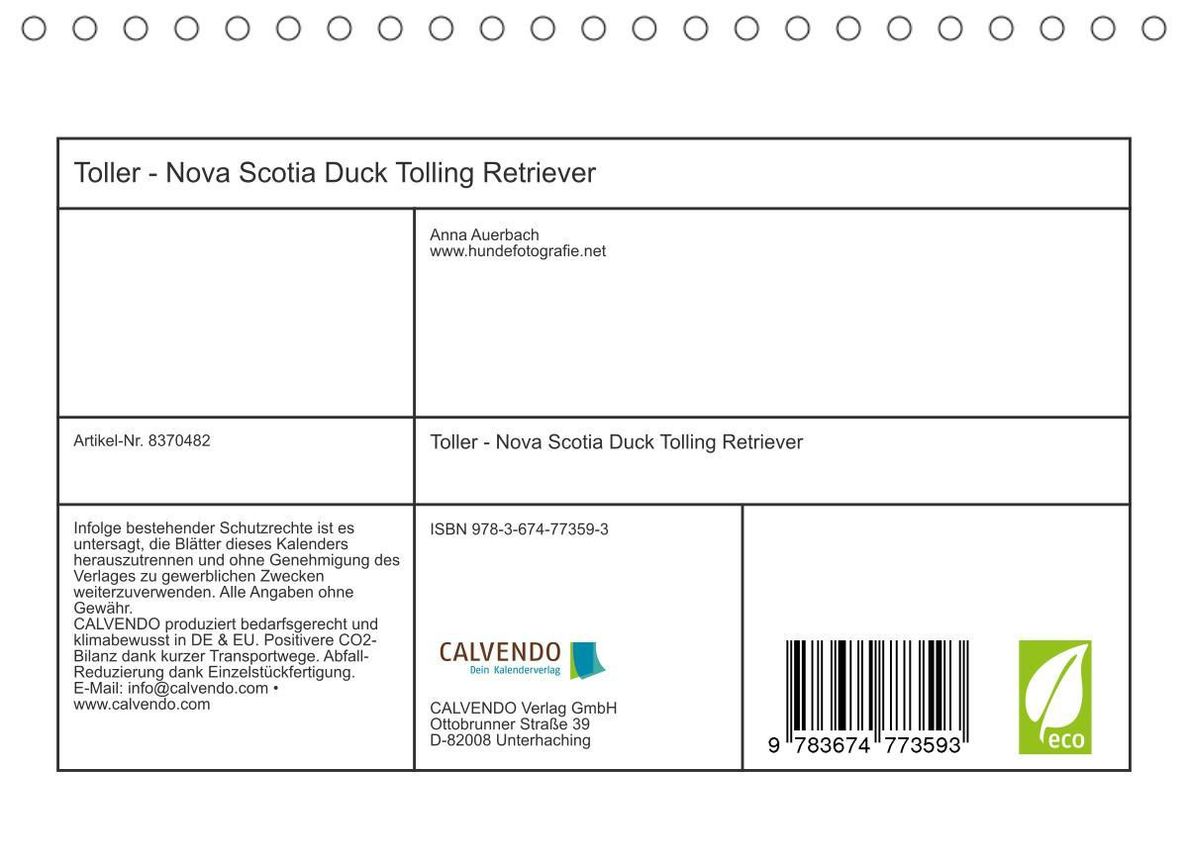 Toller - Nova Scotia Duck Tolling Retriever Tischkalender 2023 DIN A5 quer