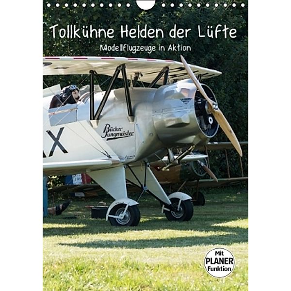 Tollkühne Helden der Lüfte - Modellflugzeuge in Aktion (Wandkalender 2016 DIN A4 hoch), Sonja Teßen