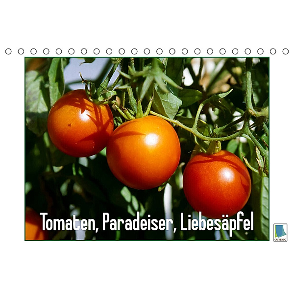 Tomaten, Paradeiser, Liebesäpfel (Tischkalender 2023 DIN A5 quer), Calvendo