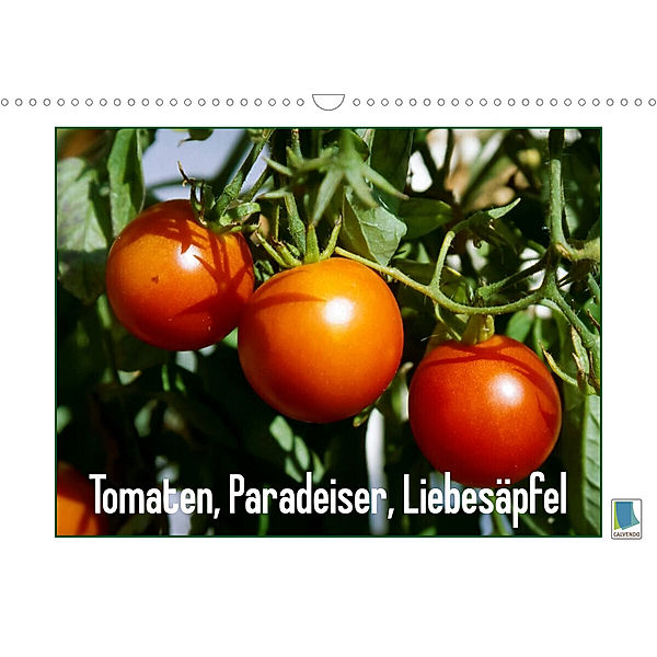 Tomaten, Paradeiser, Liebesäpfel (Wandkalender 2023 DIN A3 quer), Calvendo