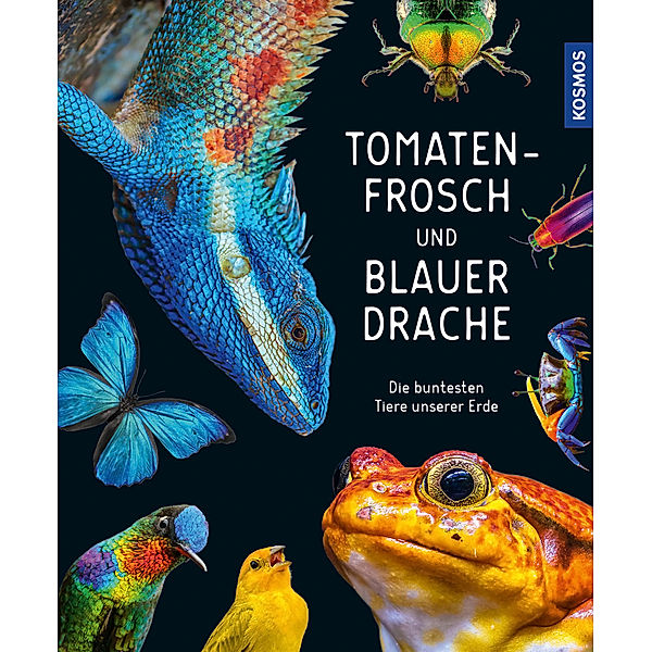 Tomatenfrosch und blauer Drache, Andrea Köhrsen