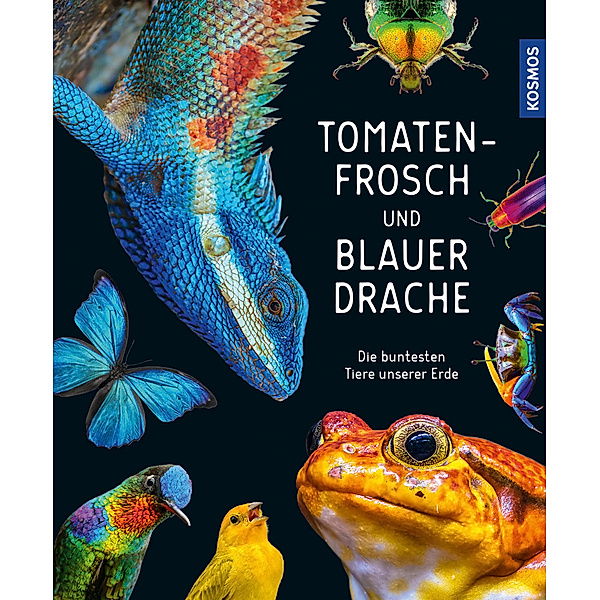 Tomatenfrosch und blauer Drache, Andrea Köhrsen