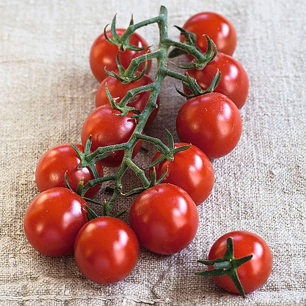 Tomatenpflanze Cherrytomate Solena Sweet Red, veredelt
