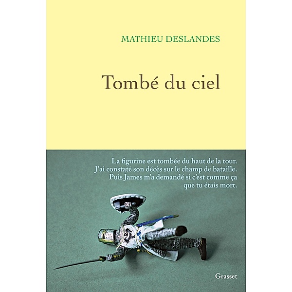 Tombé du ciel / Essai, Mathieu Deslandes
